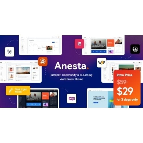 Anesta Intranet Extranet Community and BuddyPress WordPress Theme