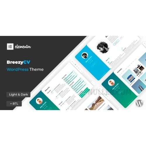 BreezyCV CV Resume Theme