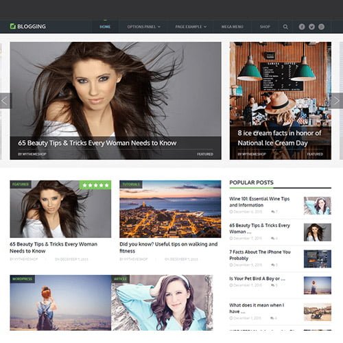 MyThemeShop Blogging WordPress Theme