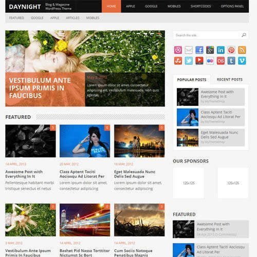 MyThemeShop Daynight WordPress Theme